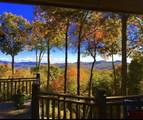 1560 Shirley Pressley Road - Photo 19