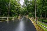 6 Lone Panther Ridge - Photo 8