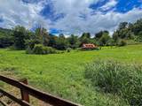 122 Crawford Cove Road - Photo 4