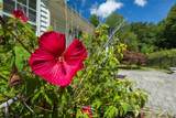 2888 Mill Creek Road - Photo 86