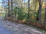 4 Lone Panther Ridge - Photo 4