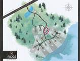 4 Lone Panther Ridge - Photo 5