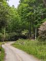 17010 Buck Knob Road - Photo 2