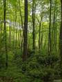 17010 Buck Knob Road - Photo 6