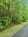 Lot 49B Big Pine Road - Photo 3