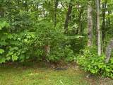 Lot 4 Park View Lane - Photo 22