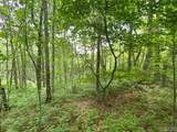 Lot 4 Park View Lane - Photo 9