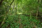 38A&38B Cherokee Trail - Photo 13