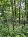 Lot 2 Frond Court - Photo 10