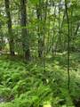 Lot 2 Frond Court - Photo 6