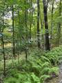 Lot 2 Frond Court - Photo 8