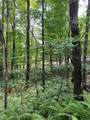 Lot 2 Frond Court - Photo 9