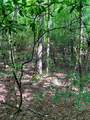 TBD Double Creek Drive - Photo 2