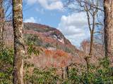 TBD Cold Mountain Road - Photo 2