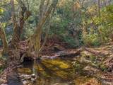 TBD Cold Mountain Road - Photo 3