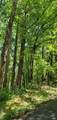 Lot 55 Black Oak Drive - Photo 3