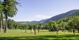135 Lonesome Valley Road - Photo 54