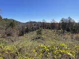 Off Neely - Photo 36