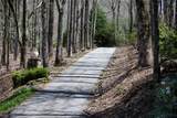 551 Bob Long Mountain Road - Photo 2
