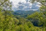 723 Shepherds Gap Road - Photo 10