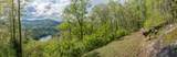 723 Shepherds Gap Road - Photo 13