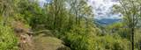 723 Shepherds Gap Road - Photo 14