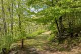 723 Shepherds Gap Road - Photo 3