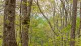 63/64 Valley View Trail - Photo 17