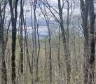 63/64 Valley View Trail - Photo 8