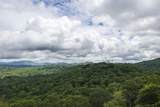 289 Lower Brushy Face Road - Photo 48