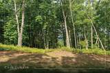 Lot 98 Blazing Star Drive - Photo 3