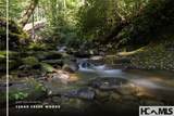 180 Haven Ridge Road Trail - Photo 1