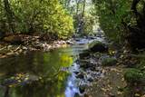 180 Haven Ridge Road Trail - Photo 39