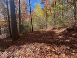 Lot 1 Bear Log Road - Photo 2