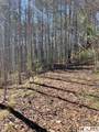 Lot 1 Bear Log Road - Photo 5