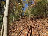 Lot 1 Bear Log Road - Photo 7