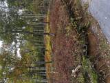 38 Hidden Grouse Lane - Photo 1