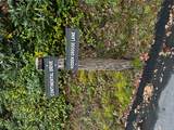 38 Hidden Grouse Lane - Photo 2