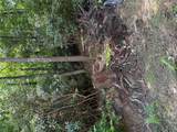 LOT BC Blindside Lane - Photo 4