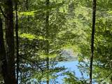 LOT BC Blindside Lane - Photo 5