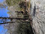 7 Wandering Ridge - Photo 11