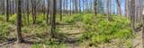 LOT 35 Thomas Knob Estates Road - Photo 4