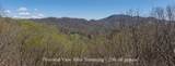 LOT 35 Thomas Knob Estates Road - Photo 5