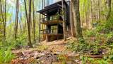 117 Speckled Feather Pass - Photo 10