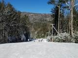 117 Speckled Feather Pass - Photo 21