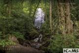 1701 Cullowhee Forest Road - Photo 92
