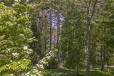 18 Buck Knob Island - Photo 36