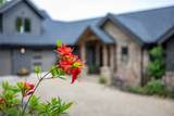 96 Moltz Court - Photo 3