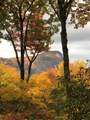 2141 Upper Divide Road - Photo 61