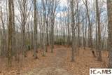 Lot 20 New Settler's Way - Photo 8